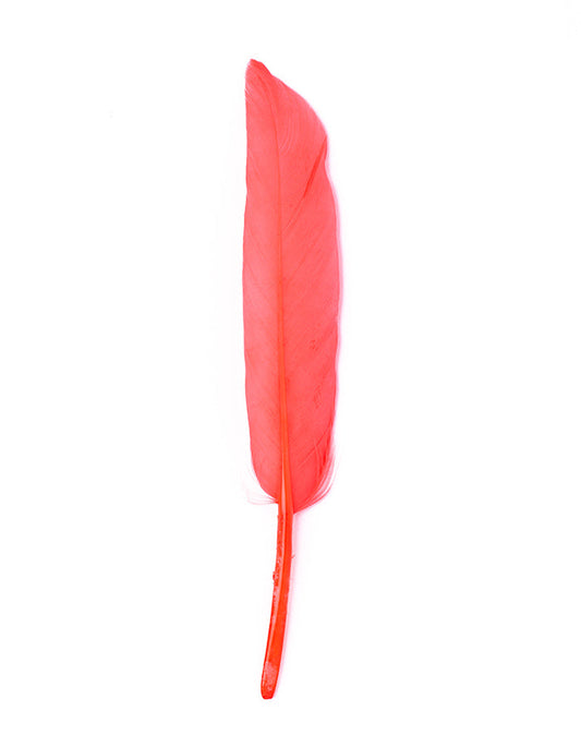 Hajékszer színes toll hajdísz Pink AFROline (1db)-0