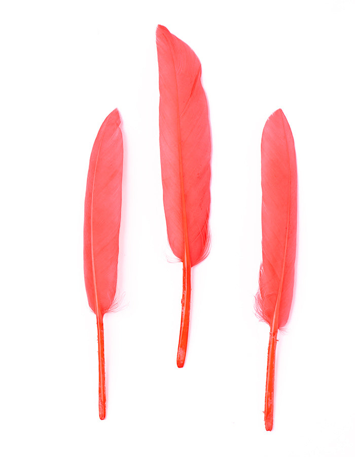 Hajékszer színes toll hajdísz Pink AFROline (1db)-1